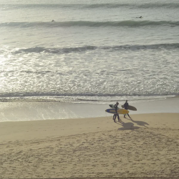 Surf en cadiz